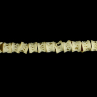 photo of Atlantic salmon precaudal vertebra lateral view